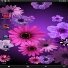Ladda ner Flowers by PanSoft på Android, liksom andra gratis live wallpapers för Sony Xperia E1.