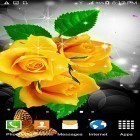 Förutom levande bakgrundsbild till Android Black and pink ström, ladda ner gratis live wallpaper APK Flowers by villeHugh andra.