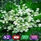 Förutom levande bakgrundsbild till Android Christmas tree 3D ström, ladda ner gratis live wallpaper APK Forest lilies andra.