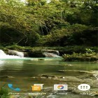 Förutom levande bakgrundsbild till Android 3D Kazakhstan ström, ladda ner gratis live wallpaper APK Forest stream andra.