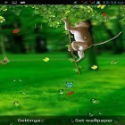 Förutom levande bakgrundsbild till Android Landscapes 4K ström, ladda ner gratis live wallpaper APK Funny monkey by Galaxy Launcher andra.