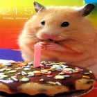 Förutom levande bakgrundsbild till Android Black clock ström, ladda ner gratis live wallpaper APK Hamster andra.