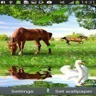 Förutom levande bakgrundsbild till Android Fresh leaves ström, ladda ner gratis live wallpaper APK Horses by Latest Live Wallpapers andra.