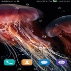 Förutom levande bakgrundsbild till Android Glow heart ström, ladda ner gratis live wallpaper APK Jellyfish by live wallpaper HongKong andra.
