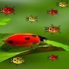 Förutom levande bakgrundsbild till Android Mossy Forest ström, ladda ner gratis live wallpaper APK Ladybugs by 3D HD Moving Live Wallpapers Magic Touch Clocks andra.