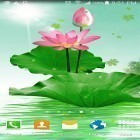 Förutom levande bakgrundsbild till Android Enchanted Rose ström, ladda ner gratis live wallpaper APK Lotus by villeHugh andra.