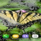 Förutom levande bakgrundsbild till Android Spring globe ström, ladda ner gratis live wallpaper APK Macro butterflies andra.