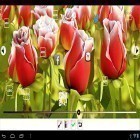 Förutom levande bakgrundsbild till Android Christmas HD ström, ladda ner gratis live wallpaper APK My flower 3D andra.