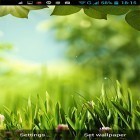 Förutom levande bakgrundsbild till Android Royal frog ström, ladda ner gratis live wallpaper APK Nature bliss andra.
