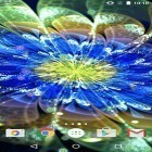 Förutom levande bakgrundsbild till Android Gradient color ström, ladda ner gratis live wallpaper APK Neon flowers by Phoenix Live Wallpapers andra.
