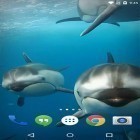 Förutom levande bakgrundsbild till Android Romantic fireplace ström, ladda ner gratis live wallpaper APK Ocean 3D: Dolphin andra.