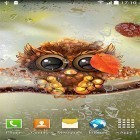 Ladda ner Owl by Live Wallpapers 3D på Android, liksom andra gratis live wallpapers för Acer Liquid E3.