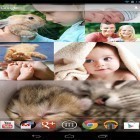 Ladda ner Photo wall FX på Android, liksom andra gratis live wallpapers för OnePlus Nord.