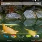 Förutom levande bakgrundsbild till Android Cat licks ström, ladda ner gratis live wallpaper APK Pond with koi by Karaso andra.