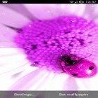 Förutom levande bakgrundsbild till Android Ivy leaf ström, ladda ner gratis live wallpaper APK Pretty pink andra.
