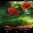 Förutom levande bakgrundsbild till Android Easter: Meadow ström, ladda ner gratis live wallpaper APK Red rose by DynamicArt Creator andra.