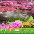 Förutom levande bakgrundsbild till Android Prairie lightning ström, ladda ner gratis live wallpaper APK Sakura by orchid andra.