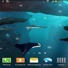 Ladda ner Live Wallpaper Sharks 3D by BlackBird Wallpapers för stationära mobiler och surfplattor.