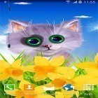 Ladda ner Live Wallpaper Spring cat för stationära mobiler och surfplattor.