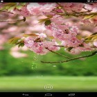 Förutom levande bakgrundsbild till Android Galaxy pack ström, ladda ner gratis live wallpaper APK Spring flowers by orchid andra.