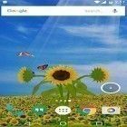 Förutom levande bakgrundsbild till Android Diamond by Happy live wallpapers ström, ladda ner gratis live wallpaper APK Sunflower 3D andra.
