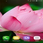 Förutom levande bakgrundsbild till Android Forest stream ström, ladda ner gratis live wallpaper APK Tropical flowers andra.