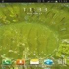 Förutom levande bakgrundsbild till Android Paperland pro ström, ladda ner gratis live wallpaper APK True water andra.