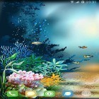 Förutom levande bakgrundsbild till Android Owl chick ström, ladda ner gratis live wallpaper APK Underwater world by orchid andra.