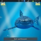Förutom levande bakgrundsbild till Android Real time ström, ladda ner gratis live wallpaper APK Angry shark: Cracked screen andra.