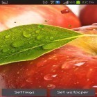 Förutom levande bakgrundsbild till Android Fairy field ström, ladda ner gratis live wallpaper APK Apple by Happy andra.
