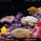 Förutom levande bakgrundsbild till Android True water ström, ladda ner gratis live wallpaper APK Aquarium by Best Live Wallpapers Free andra.
