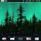 Förutom levande bakgrundsbild till Android Christmas tree ström, ladda ner gratis live wallpaper APK Aurora andra.