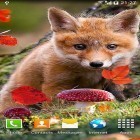 Ladda ner Autumn by Amax LWPS på Android, liksom andra gratis live wallpapers för LG Optimus F5 P875.
