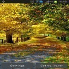 Förutom levande bakgrundsbild till Android Shamrock ström, ladda ner gratis live wallpaper APK Autumn by Best wallpapers andra.