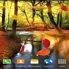 Förutom levande bakgrundsbild till Android Lily of valley forest ström, ladda ner gratis live wallpaper APK Autumn forest andra.