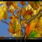 Förutom levande bakgrundsbild till Android Lost island HD ström, ladda ner gratis live wallpaper APK Autumn leaves 3D by Alexander Kettler andra.