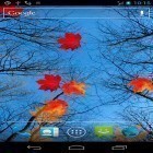 Förutom levande bakgrundsbild till Android Clover field ström, ladda ner gratis live wallpaper APK Autumn maple andra.