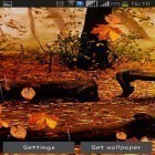 Förutom levande bakgrundsbild till Android 3D Car ström, ladda ner gratis live wallpaper APK Autumn rain andra.