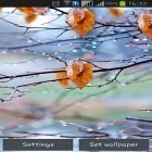 Förutom levande bakgrundsbild till Android Aquarium ström, ladda ner gratis live wallpaper APK Autumn raindrops andra.