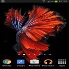 Förutom levande bakgrundsbild till Android Sunny Paris ström, ladda ner gratis live wallpaper APK Betta fish andra.