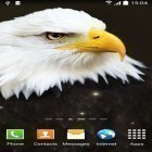 Förutom levande bakgrundsbild till Android Starry night: Train ström, ladda ner gratis live wallpaper APK Birds by Blackbird wallpapers andra.