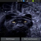 Förutom levande bakgrundsbild till Android Digital clock ström, ladda ner gratis live wallpaper APK Black panther andra.