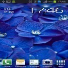 Förutom levande bakgrundsbild till Android Christmas Santa HD ström, ladda ner gratis live wallpaper APK Blue flowers andra.