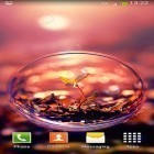 Förutom levande bakgrundsbild till Android Neon pentagon 3D ström, ladda ner gratis live wallpaper APK Bubbles andra.