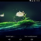 Förutom levande bakgrundsbild till Android Skull island 3D ström, ladda ner gratis live wallpaper APK Cactus flower andra.