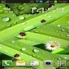 Ladda ner Camomiles and ladybugs på Android, liksom andra gratis live wallpapers för Sony Ericsson Xperia X10 mini.