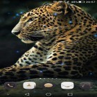 Förutom levande bakgrundsbild till Android Chickens ström, ladda ner gratis live wallpaper APK Cheetah andra.