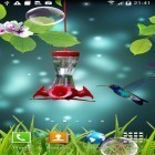 Förutom levande bakgrundsbild till Android Amazing spring flowers ström, ladda ner gratis live wallpaper APK Colibri andra.