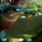 Förutom levande bakgrundsbild till Android 3D Waterfall pro ström, ladda ner gratis live wallpaper APK Colibri by Joseires andra.