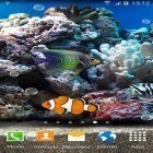 Förutom levande bakgrundsbild till Android Night nature HD ström, ladda ner gratis live wallpaper APK Coral fish 3D andra.